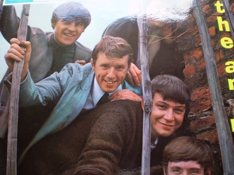 The Animals (Debut)