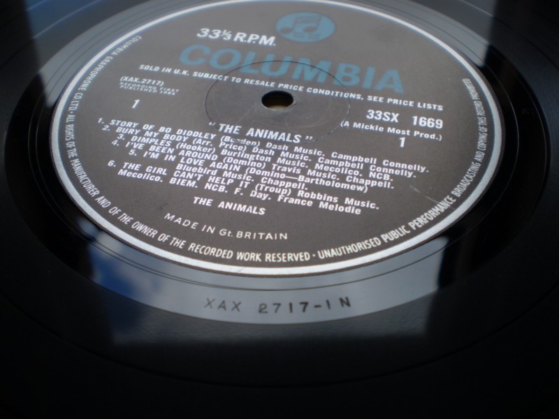 The Animals (Debut)