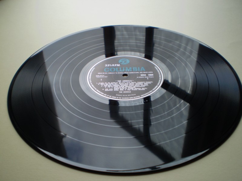 The Animals (Debut)