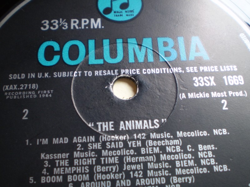 The Animals (Debut)