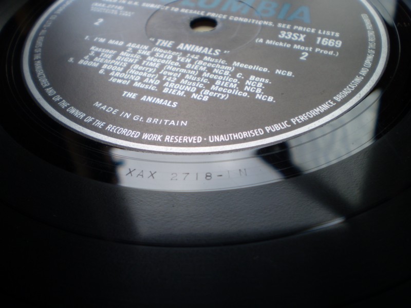The Animals (Debut)