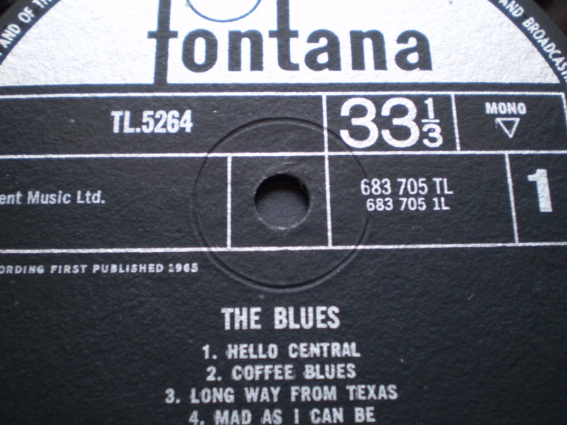 Lightnin Hopkins The Blues